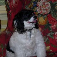 Colleen Mcelligott Photo 7