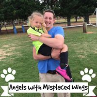 Richard Hamel Photo 31