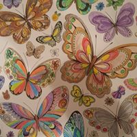 Sandra Crenshaw Photo 14