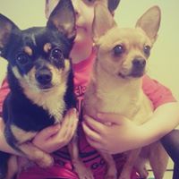 Betty Wheeler Photo 9