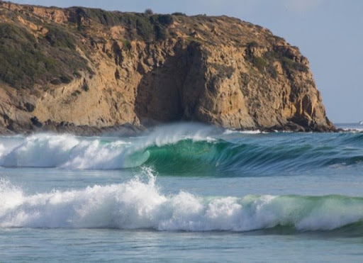 Neil Donovan Photo 15