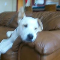 Jack Nance Photo 23 Jack Nance Photo 23