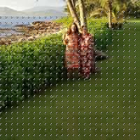 Cathy Gatlin Photo 9