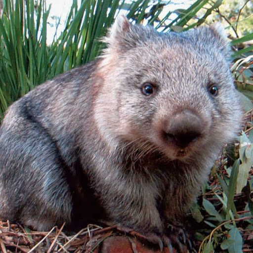 Gail Quinn Photo 31 Gail Quinn Photo 31