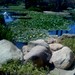 Alice Keck Photo 5