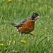 Robin Lemoine Photo 15