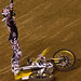 Ryan Weimer Photo 16