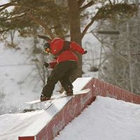 Peter Elliot Photo 18