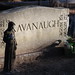 Mark Kavanaugh Photo 12