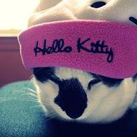 Cheryl Gross Photo 41