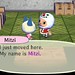 Mitzi Cross Photo 17