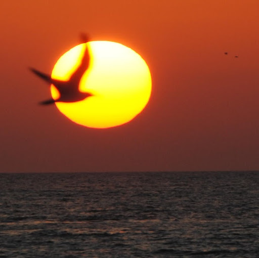 Barbara Graham Photo 33 Barbara Graham Photo 33