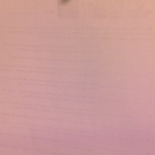 Lynette Bradley Photo 11