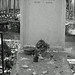 Leroy Marin Photo 12