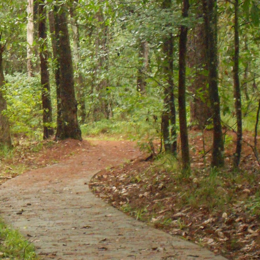 Christine Ramey Photo 17