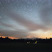 David Trout Photo 20