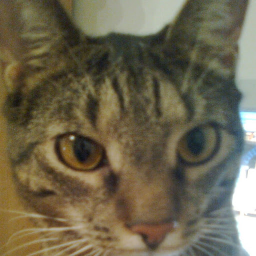 Christine Guenther Photo 28