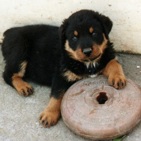 Lee Mccormick Photo 14