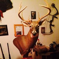 Paul Gray Photo 24 Paul Gray Photo 24