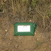 Alice Ault Photo 4