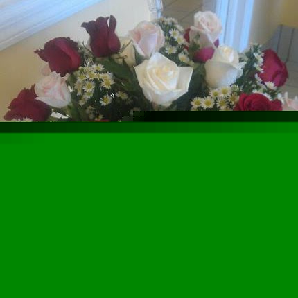 Veronica Hodges Photo 9