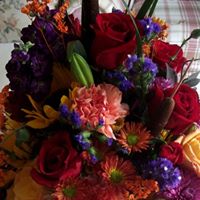 Arnold Scott Photo 45