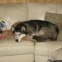 Andrea Walter Photo 22