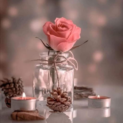 Stephanie Mckenzie Photo 36