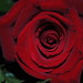 Scott Lockard Photo 30