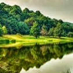 Vivian Harrison Photo 22