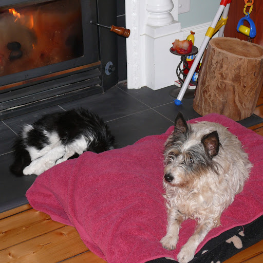 Deb Butcher Photo 20