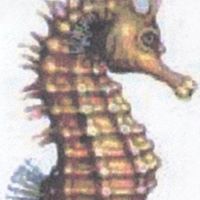 Rhonda Simon Photo 38