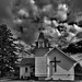 Allan Stevens Photo 13