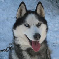 Shawn Hackett Photo 28