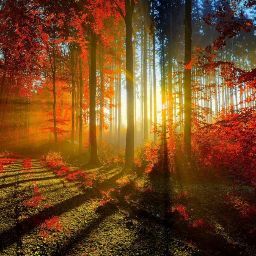 Joshua Dailey Photo 23