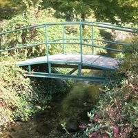 Gary Goodman Photo 27