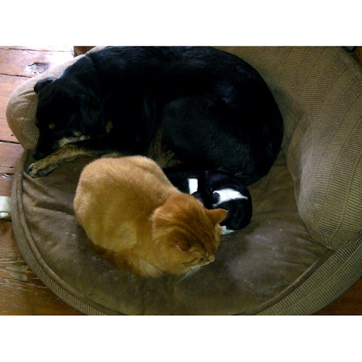 Cynthia Wilkinson Photo 17