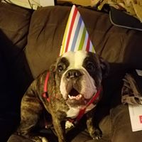 Jennifer Cheney Photo 25