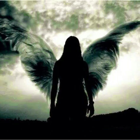 Teresa Gillis Photo 11