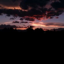 Todd Fleming Photo 29