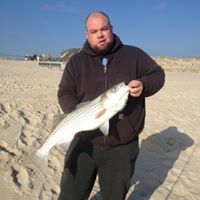 Martin Mullin Photo 6