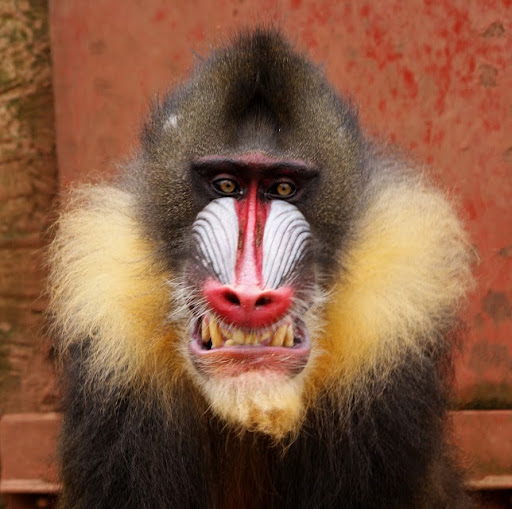 Martin Edwards Photo 45