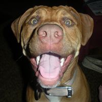 Barbara Biddle Photo 9