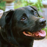 Kathleen Lester Photo 16