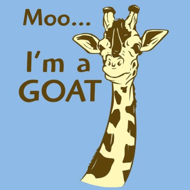 Chris Singleton Photo 16 Chris Singleton Photo 16