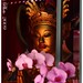 De Zheng Photo 6