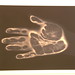 Gary Schneider Photo 12