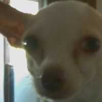 Benjamin Rivers Photo 24