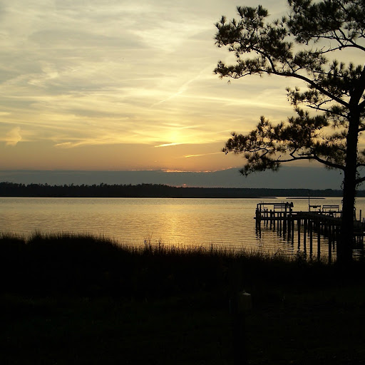 Beckie Collins Photo 3