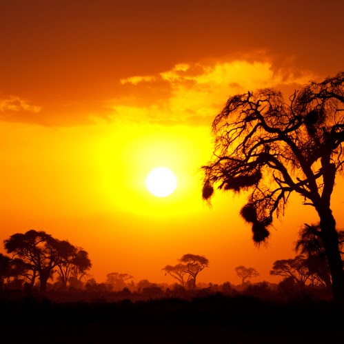 Daniel Altman Photo 44